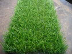 25mm Artificial Grass Manufacturer in Gurugram